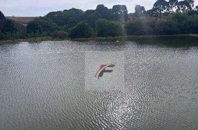 Chácara com 3 dormitórios à venda, 484000000 m² por r$ 400.000 - centro - quitandinha/pr