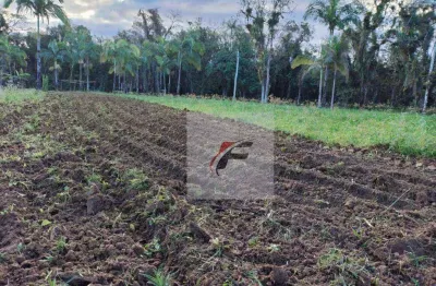 Fazenda com 2 dormitórios à venda, 1137400 m² por r$ 790.000 - zona rural - antonina/pr