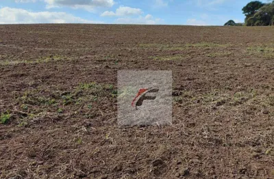 Fazenda à venda, 677600 m² por R$ 2.800.000 - Zona Rural - Quitandinha/PR