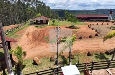 Fazenda com 3 dormitórios à venda, 1210000 m² por R$ 4.000.000,00 - Zona Rural - Prudentópolis/PR