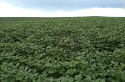 Fazenda à venda na Rua José Roberto, 2, Centro, Candói