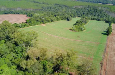 Sítio para venda, 10 alqueires em paiquere, londrina, pr