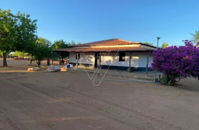 Oportunidade!  fazenda venda  bahia região de irecê   área 7.200 hectares