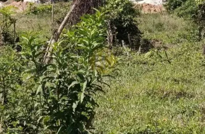 Terreno de 294,50m² no balneário dos golfinhos em caraguatatuba - sp