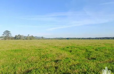Terreno para venda em joinville, pirabeiraba (pirabeiraba)