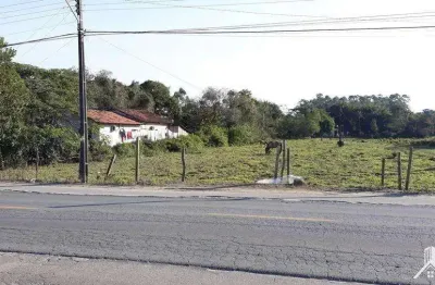 Terreno para venda em joinville, pirabeiraba (pirabeiraba)