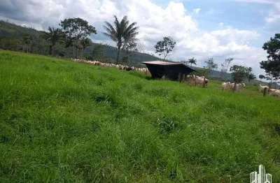 Fazenda à venda na Maria De Lourdes, S/N, Paranorte, Juara