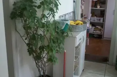 Apartamento com 3 quartos à venda na Rua Senador Fláquer, Centro, Santo André
