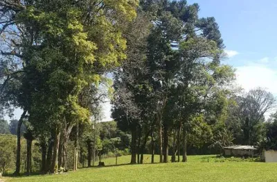 Chácara / sítio com 4 quartos à venda no Centro, Mandirituba 