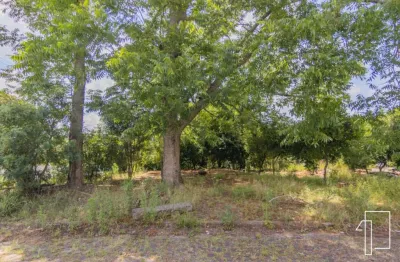 Terreno à venda na rua joão de barro, arroio da manteiga, são leopoldo por r$ 600.000