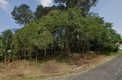 Terreno à venda na rua alberto adolpho fruchtenicht, campestre, são leopoldo por r$ 206.000