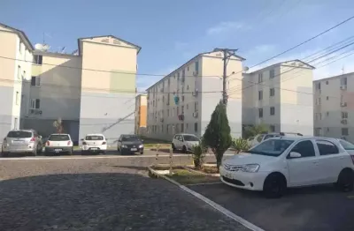 Apartamento com 2 quartos para alugar no Rio dos Sinos, São Leopoldo 