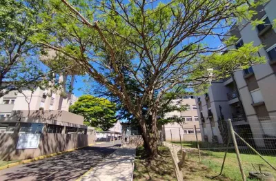 Apartamento com 2 quartos para alugar no Rio dos Sinos, São Leopoldo 