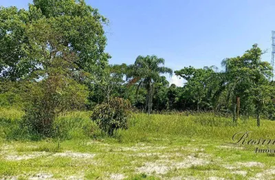 Terreno à venda na endereço não informado, sambaqui, morretes, 11368 m2 por r$ 300.000