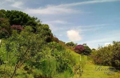 Chácara / sítio com 5 quartos à venda na endereço não informado, zona rural, antonina, 300 m2 por r$ 1.000.000