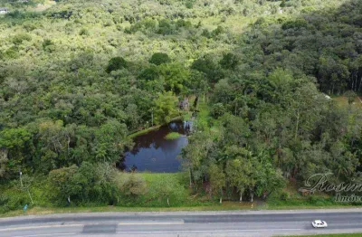 Chácara / sítio com 3 quartos à venda na endereço não informado, barro branco, morretes, 36462 m2 por r$ 389.000