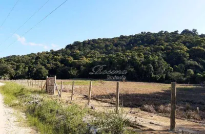 Terreno à venda na endereço não informado, zona rural, antonina, 39159 m2 por r$ 249.000