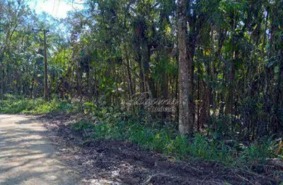 Terreno à venda na endereço não informado, américa de baixo, morretes, 7160 m2 por r$ 120.000