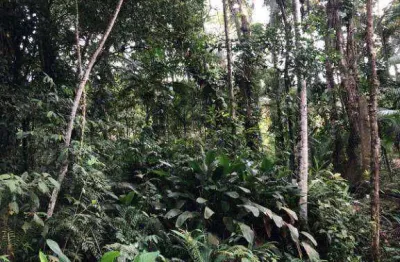 Terreno à venda na endereço não informado, rio sagrado, morretes, 7388 m2 por r$ 99.000