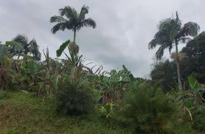 Chácara / sítio com 3 quartos à venda na endereço não informado, sambaqui, morretes, 72 m2 por r$ 199.000