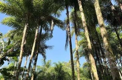 Terreno à venda na endereço não informado, sambaqui, morretes, 1300 m2 por r$ 75.000