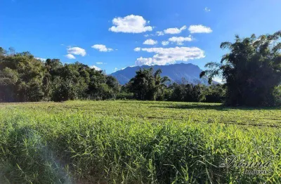 Terreno à venda na endereço não informado, centro, morretes, 1516 m2 por r$ 105.000