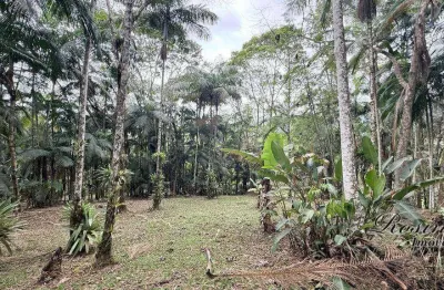 Terreno à venda na endereço não informado, rio sagrado, morretes, 4300 m2 por r$ 240.000