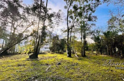 Terreno à venda na endereço não informado, barro branco, morretes, 269 m2 por r$ 70.000