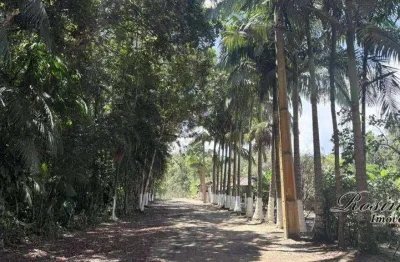 Terreno à venda na endereço não informado, barreiros, morretes, 470 m2 por r$ 119.000