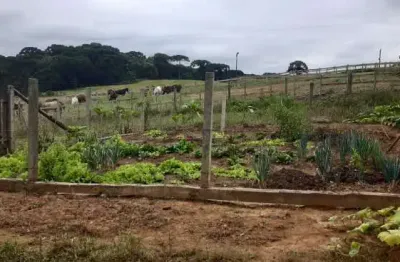Chacara 24.100 m²  escritura e registro, com casa 60 m² em alvenaria, internete, luz, água, posto de saúde, igreja, mercadinho a 200mt