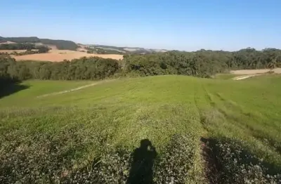 Lindo sitio 5 alqueres e meio, 133 mil m², a 4 km da rodovia do xisto, mariental contenda com casa 120m², a 210 mil por alqueires fn 99864-4995