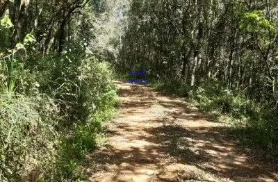 Área de 20.mil m² escriturada e registrada, só 179 mil, dá financiamento. prox alsfalto, antes de mariental, fn 041 99864-4995