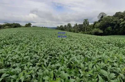Chácara 20 mil m², escriturada e registrada * fica a um km da rodovia do xisto, na divisa de mariental com contenda