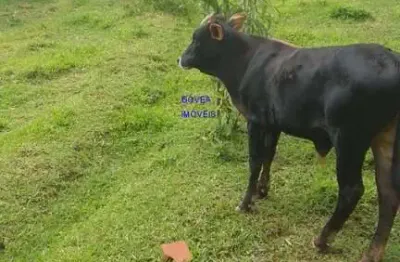 Chácara a 9 km de contenda  localidade rio do cacho. a chacara tem 5840m2  tem duas contruções,