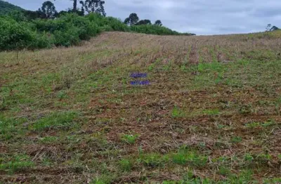 Área total:  5 alqueires e 21 litros.  área de lavoura: 4 alqueires e 20 litros. aproveitamento de 100% descontado a reserva obrigató água abundante.