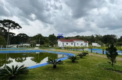 Chácara 3/7 alqueires, alto produtiva, lazer, conforto e tranquilidade com 1.500m² estufa morango, casa alvenária, piscina, tanques peixe produzindo,