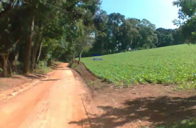 Chácara 12 mil m² contenda documentos ok. escritura e registro, plantio lavoura  frente para estrada strugaya * casinha simples,   luz 220w