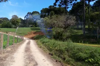 Chácara 7 milm², escriturada, aceita veiculo, estuda permuta ou parcelamento c/ proprietãrio, fica a 4 km da igreja são pedro e 11 km do asfalto