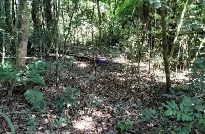 Chácara 7 milm², escriturada, aceita veiculo, estuda permuta ou parcelamento c/ proprietãrio, fica a 4 km da igreja são pedro e 11 km do asfalto