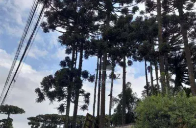 Terreno à venda, 2750 m² por r$ 1.800.000,00 - boqueirão - curitiba/pr