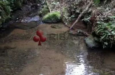 Fazenda à venda na mato preto, mato preto, lapa, 12600 m2 por r$ 130.000