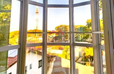 Casa com 4 quartos à venda na avenida edgard stellfeld, jardim social, curitiba, 750 m2 por r$ 4.000.000