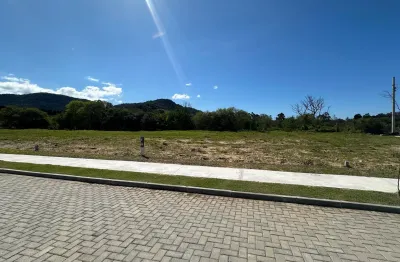 Terreno à venda na Rua Candido Pereira dos Anjos, São João do Rio Vermelho, Florianópolis