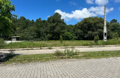 Terreno à venda na Rua Caminho Dos Areias, lote 09, São João do Rio Vermelho, Florianópolis