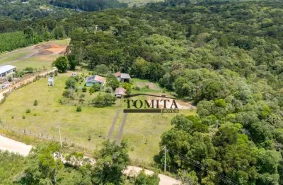 Chácara à venda, 28.400 m² por r$ 1.100.000 - imbuial - campina grande do sul/pr