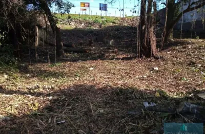 Terreno à venda na Avenida Senador Salgado Filho, Viamópolis, Viamão