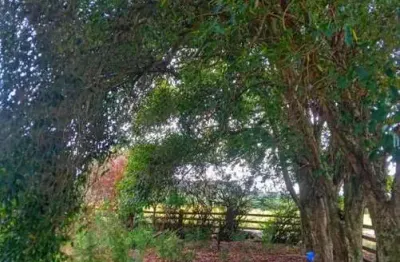 Casa para venda em viamão, morro grande, 2 dormitórios, 1 banheiro