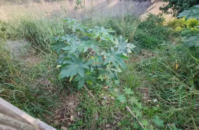 Terreno à venda na Barra Velha, Ilhabela 