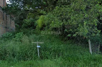 Terreno comercial para alugar na Estrada João Passuelo, Vila Nova, Porto Alegre