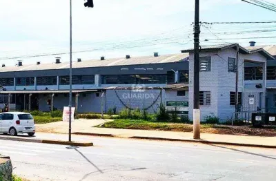 Galpão/depósito/pavilhão para aluguel, 45 vagas, passo das pedras - gravataí/rs
